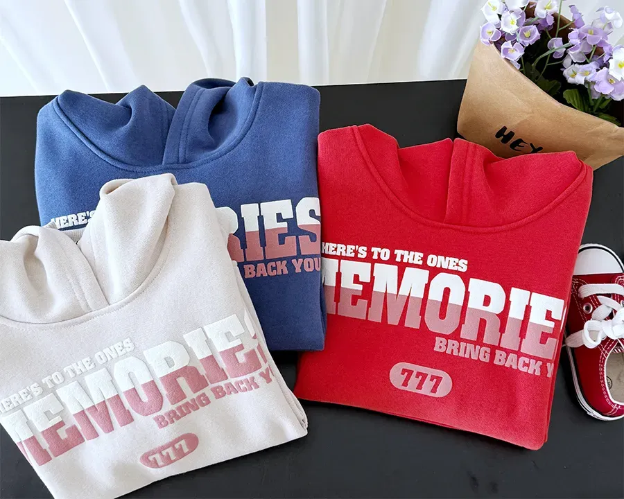 Heavyweight fleece streetwear hoodies with puff print